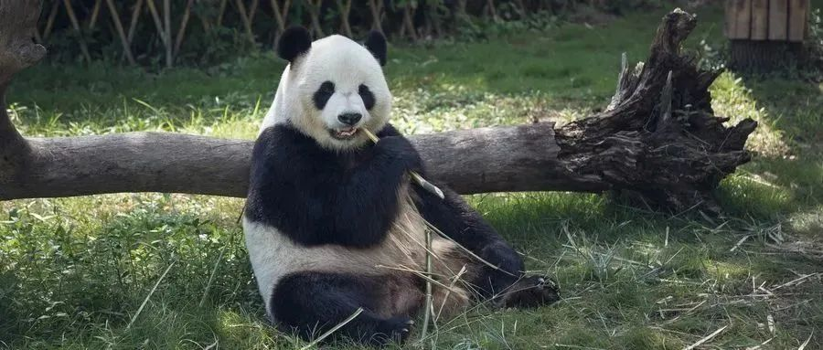https://lingchen-resource.oss-cn-shenzhen.aliyuncs.com/admin/pro/20230323/143124image.png