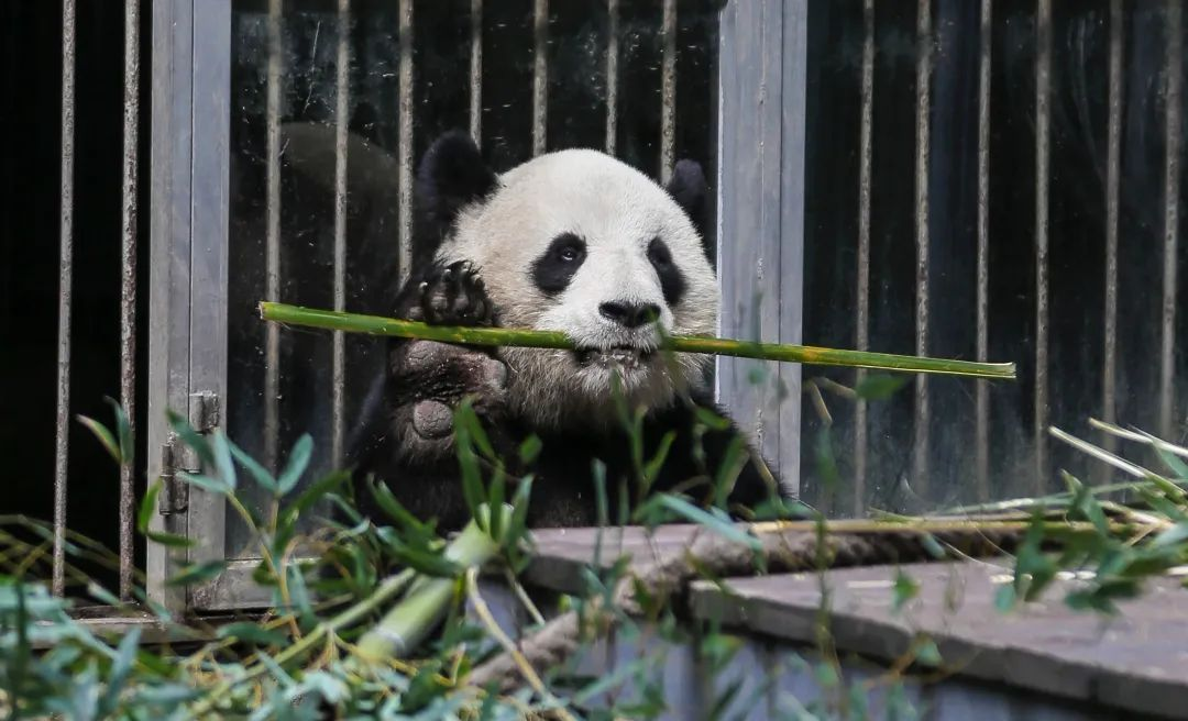 https://lingchen-resource.oss-cn-shenzhen.aliyuncs.com/admin/pro/20230323/143144image.png