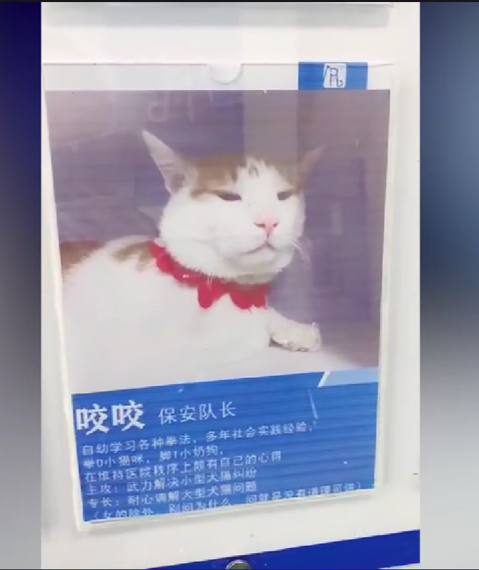 https://lingchen-resource.oss-cn-shenzhen.aliyuncs.com/admin/pro/20230504/153106image.png