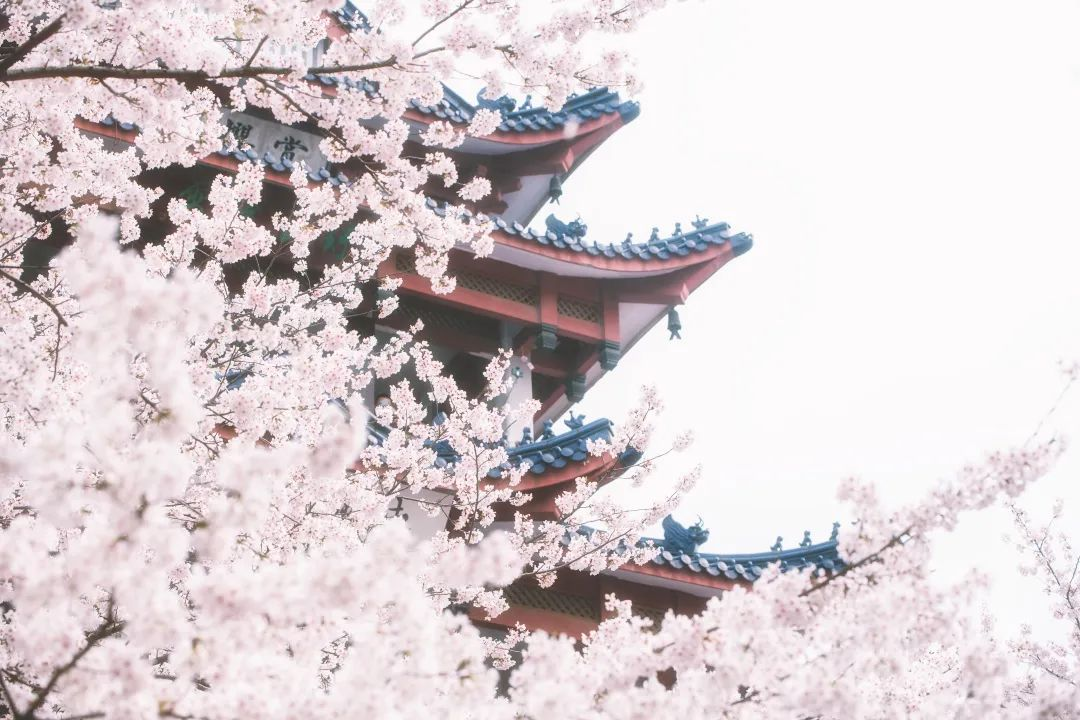 https://lingchen-resource.oss-cn-shenzhen.aliyuncs.com/admin/pro/20230510/091541image.png