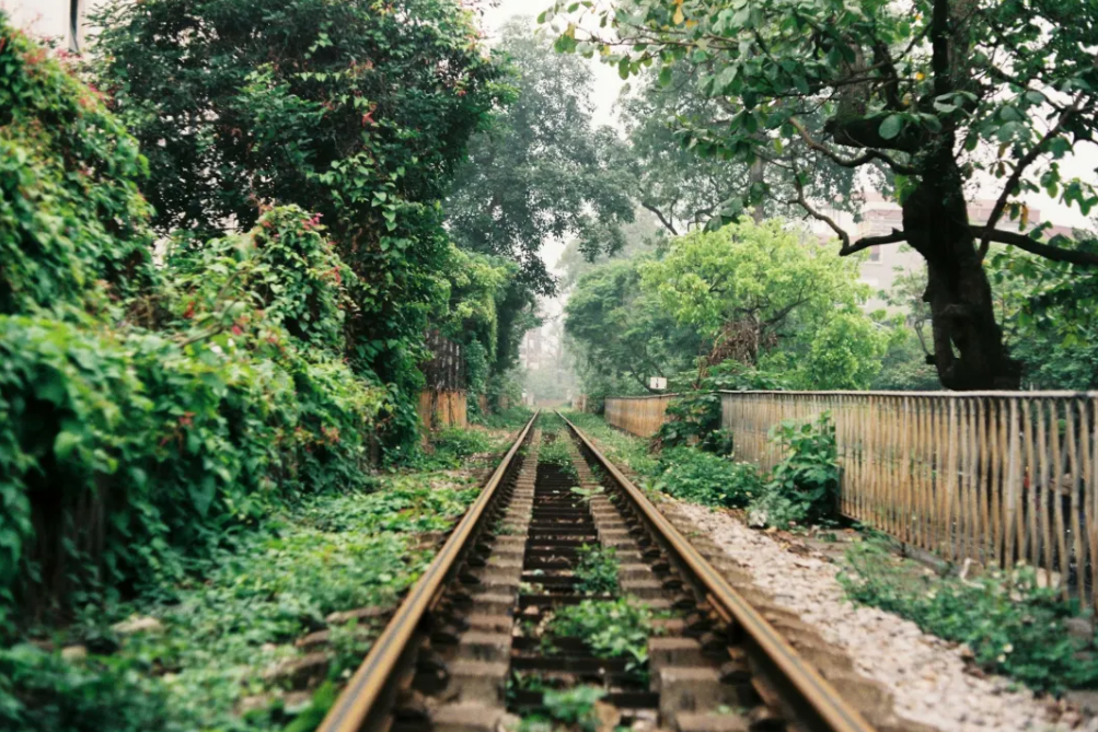 https://lingchen-resource.oss-cn-shenzhen.aliyuncs.com/admin/pro/20240325/100431image.png